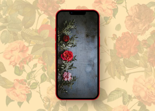 Beautifully contrasting rose wallpapers for iPhone in 2025 Aesthetic rose wallpaper for iPhone