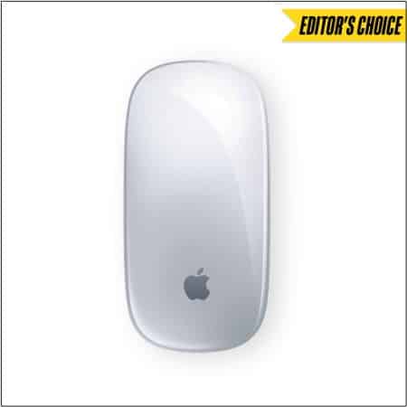 Best Bluetooth mouse for iPad Pro in 2025 Apple Magic Mouse