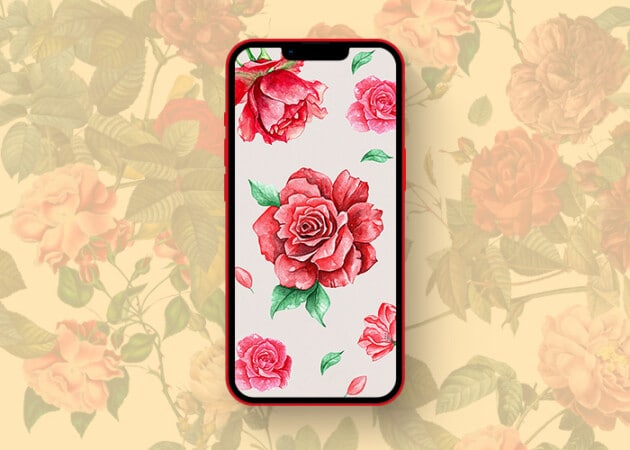 Beautifully contrasting rose wallpapers for iPhone in 2025 Beautiful rose wallpaper water color edition