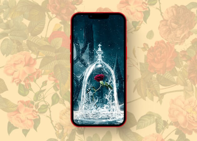 Beautifully contrasting rose wallpapers for iPhone in 2025 Beauty and the Beast wallpaper iPhone