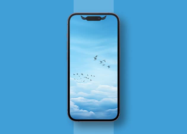 50 Stunning Dynamic Island wallpapers for iPhone 16 15 Pro Birds Flying Dynamic Island Wallpaper for iPhone
