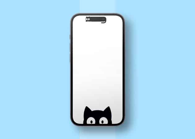 50 Stunning Dynamic Island wallpapers for iPhone 16 15 Pro Cute cat Dynamic Island wallpaper for iPhone