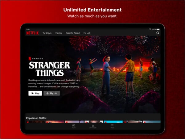 Best iPad apps for better and smarter usage in 2025 Netflix most favorite iPad app for binging