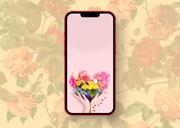 Beautifully contrasting rose wallpapers for iPhone in 2025 Pink rose wallpaper