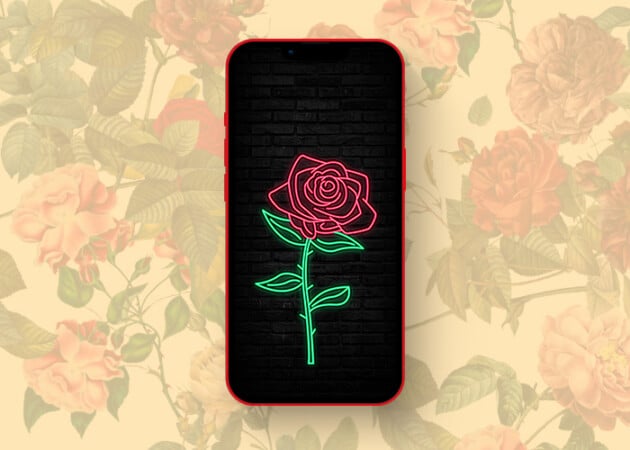Beautifully contrasting rose wallpapers for iPhone in 2025 Rose neon wallpaper for iPhone