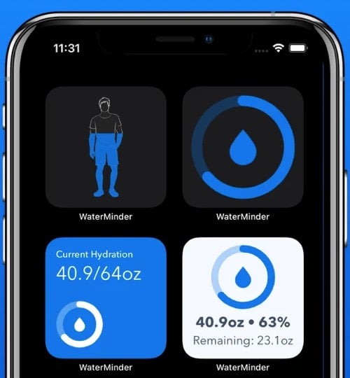 Best widgets for iPhone you should try in 2025 WaterMinder third party iOS 14 widget